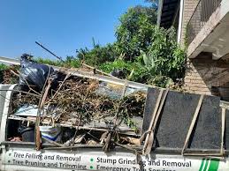 Best Attic Cleanout  in North Alamo, TX